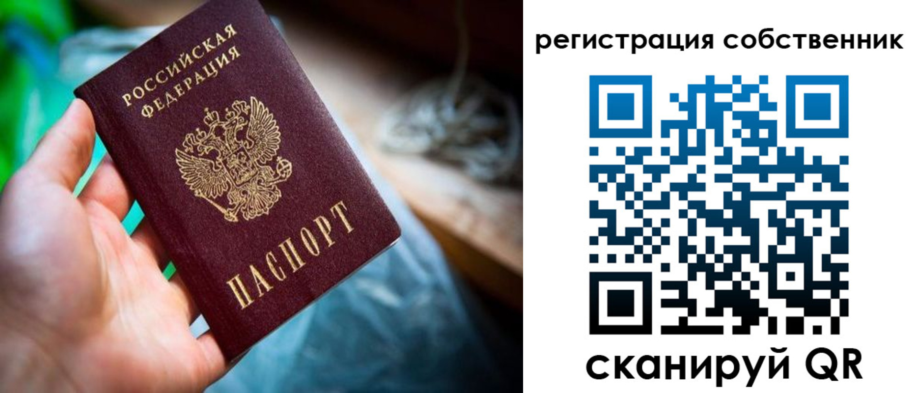 прописка гарантия в Бикине